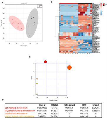 Exploiting Sphingo- and Glycerophospholipid Impairment to Select Effective Drugs and Biomarkers for CMT1A